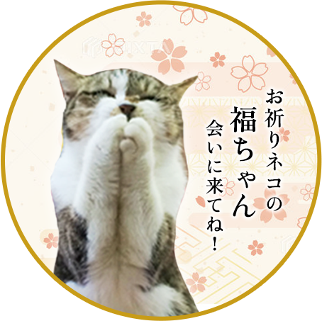 お祈りネコの福ちゃん会いに来てね！